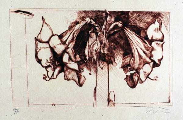 Rick Bartow, BBJ Amarylis, 1999