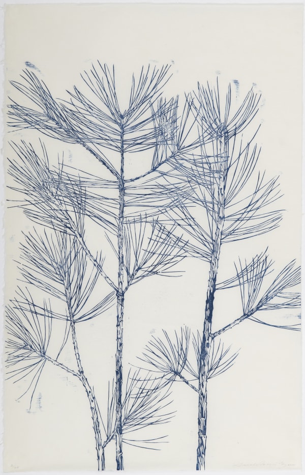 Sarah Horowitz, Blue Pines, 2020