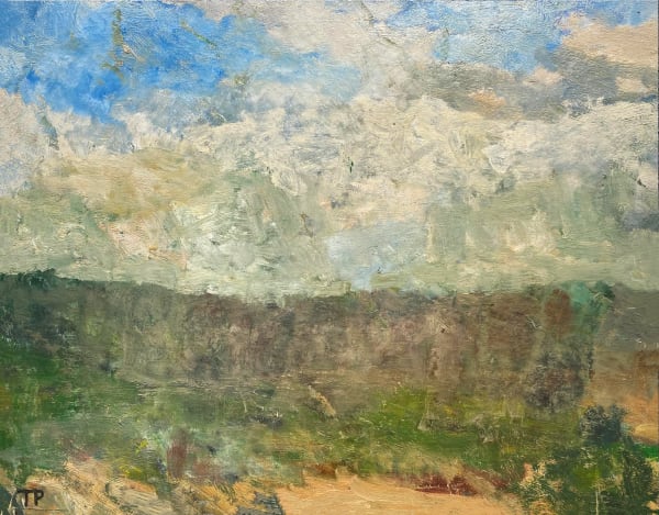 Tom Prochaska, Misty Spring, 2010