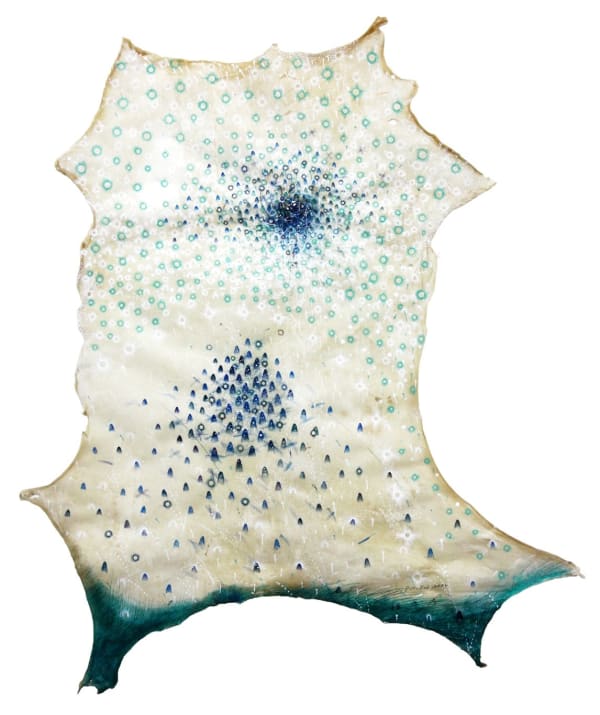 Takahiko Hayashi, P-10. Feb 2024, 2024