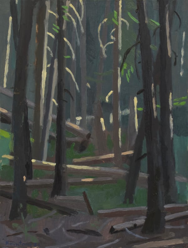 Benny Fountain, Mountain Woods (Idler's Rest), 2021
