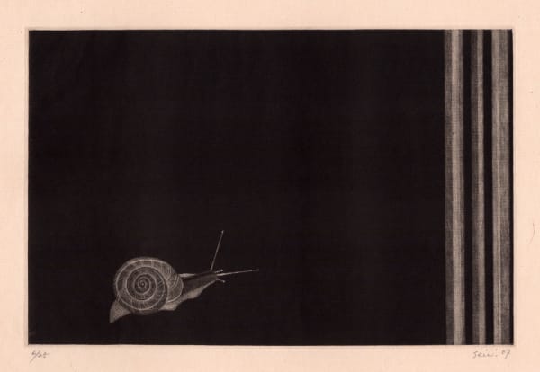 Seiichi Hiroshima, Katatsumuri/One Rainy Day, 2007