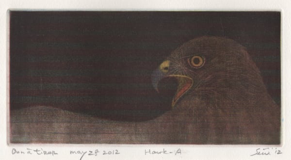 Seiichi Hiroshima, Hawk A, 2012