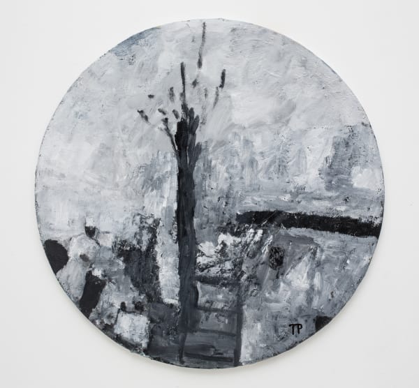 Tom Prochaska, The Visitor, 2017