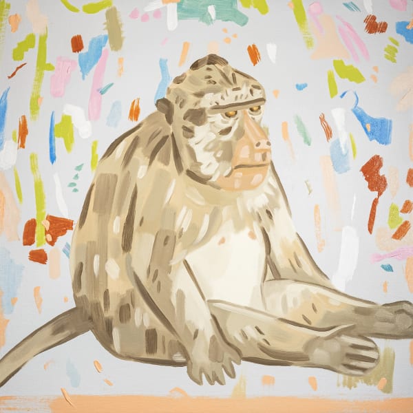 Gina Mier, Mono frustrado, 2019