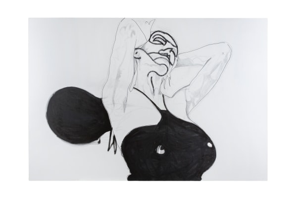 Franz Graf, Autisme, 2013