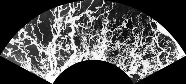 Michael Cherney, Fan Motif 扇面形式 #21R, Conception and Design: Summer 2015