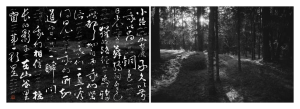 Michael Cherney, Merwin, 2024