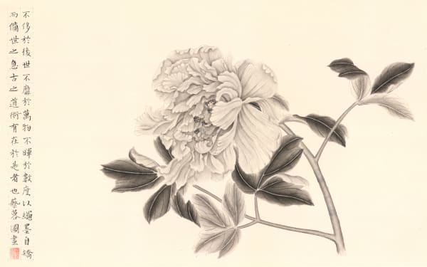 Zhang Yirong, 牡丹花, 2018