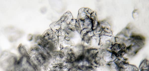 Michael Cherney, Saltscape鹽圖 #2, Conception and Design: Autumn 2016