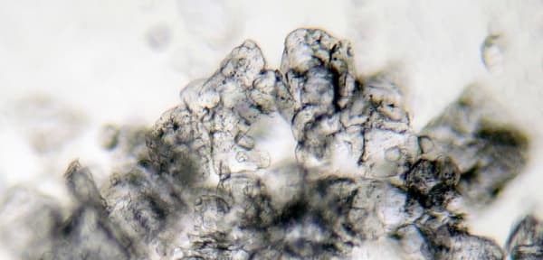 Michael Cherney, Saltscape鹽圖 #2, Conception and Design: Autumn 2016