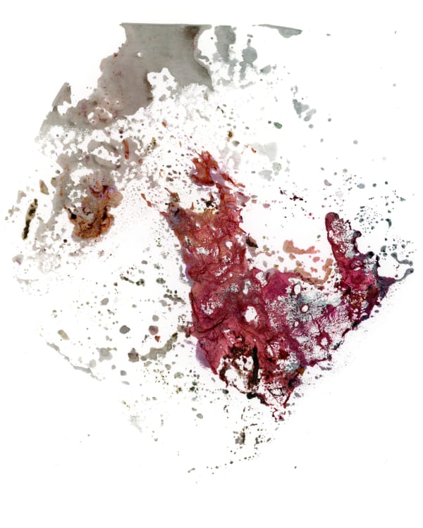 Lin Yunqian, Wetland Preserve 2, 2018