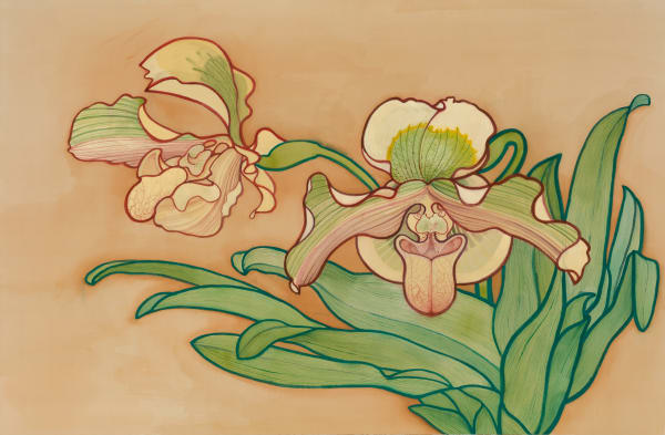 Chen Duxi, Paphiopedilum 兜兰, 2022