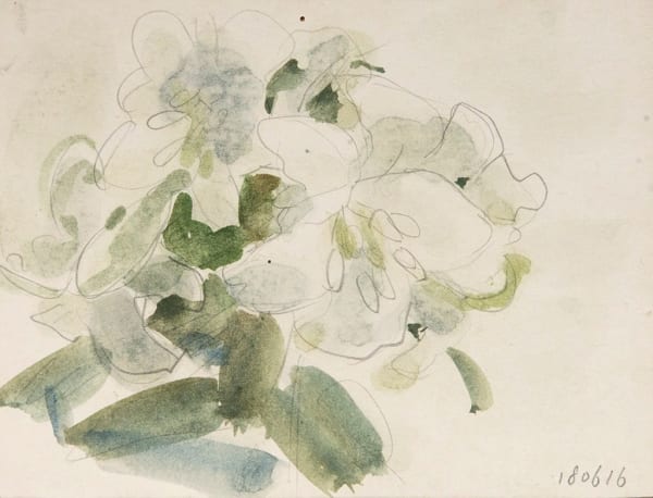 Tang Ke, Fruit 果实, 2018