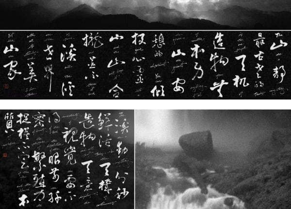 Michael Cherney, Dillard 迪拉德, 2024