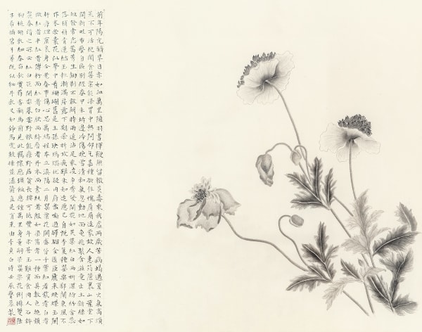 Zhang Yirong, Poppies, 2012