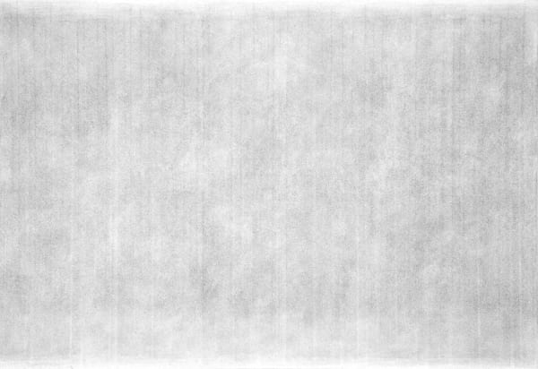 Shen Chen, Untitled No. 4012-06, 2006