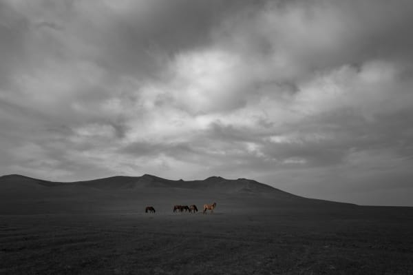 Erhan Coral, Neredeyse Yok / Barely There [Ed.3 + 1 AP], 2025