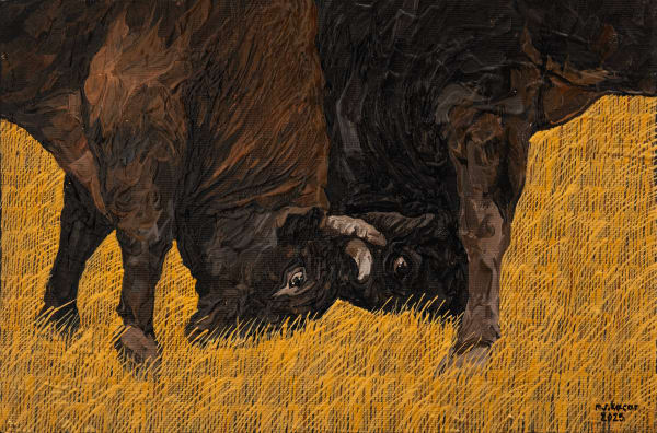 Mehmet Resul Kaçar, Boğa Güreşi / Bullfighting, 2025