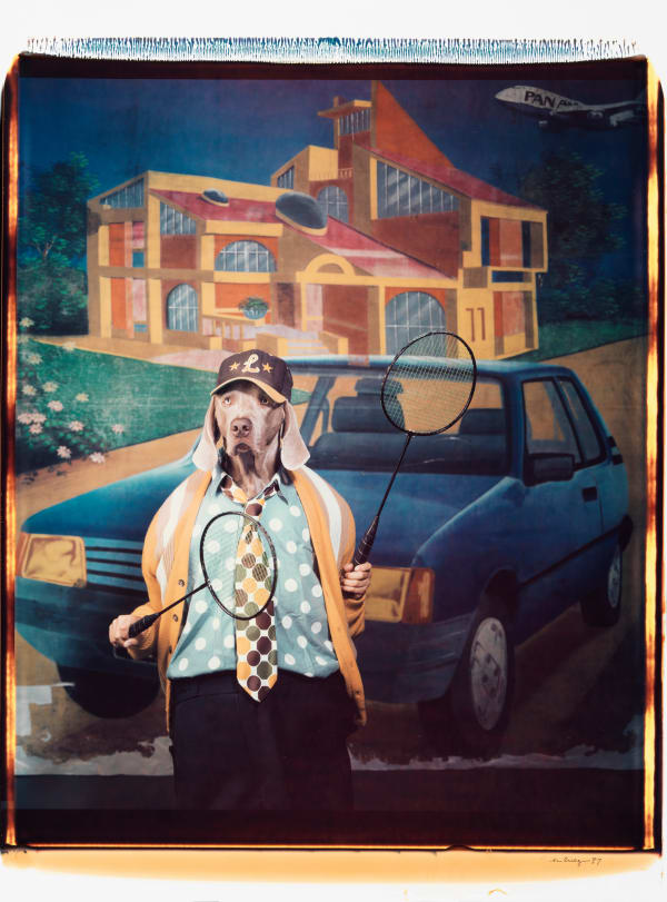 William Wegman, Untitled, 1997.