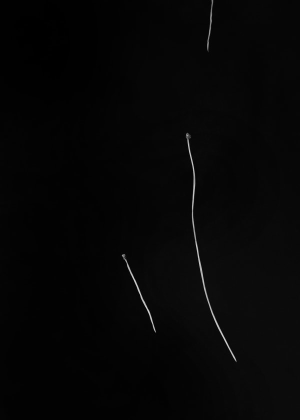 Txema Yeste, Needles, 2019-24.