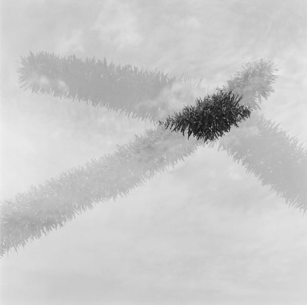 Pancho Saula, X, 2017.