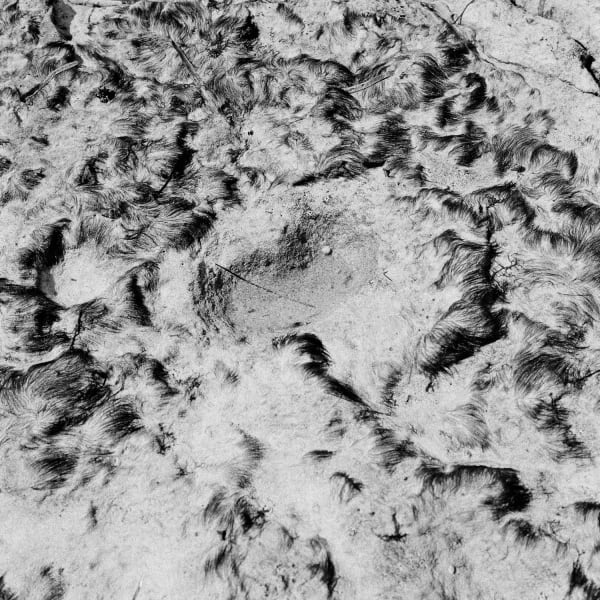 Pancho Saula, Seabed, 2017.