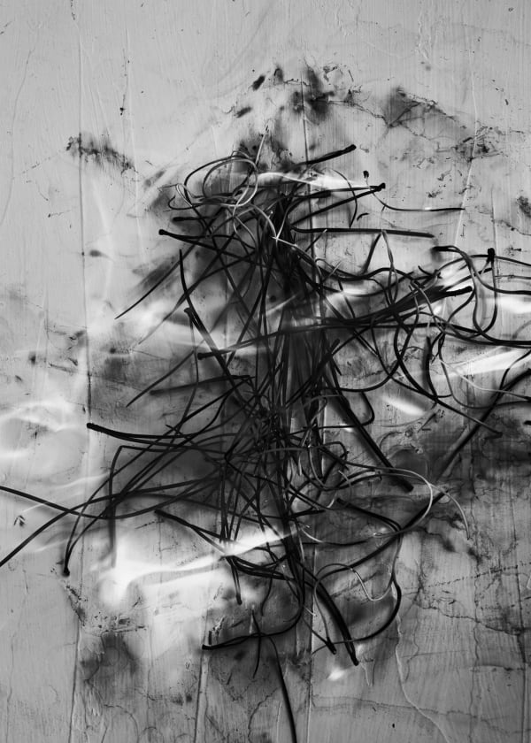 Txema Yeste, Needles, 2019-24.