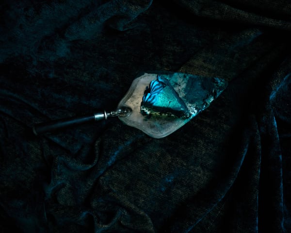 Cig Harvey, Slice of Cake, Rockport, Maine, 2023.