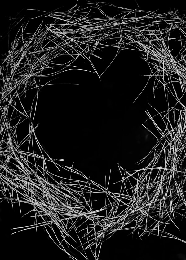 Txema Yeste, Needles, 2019-24.