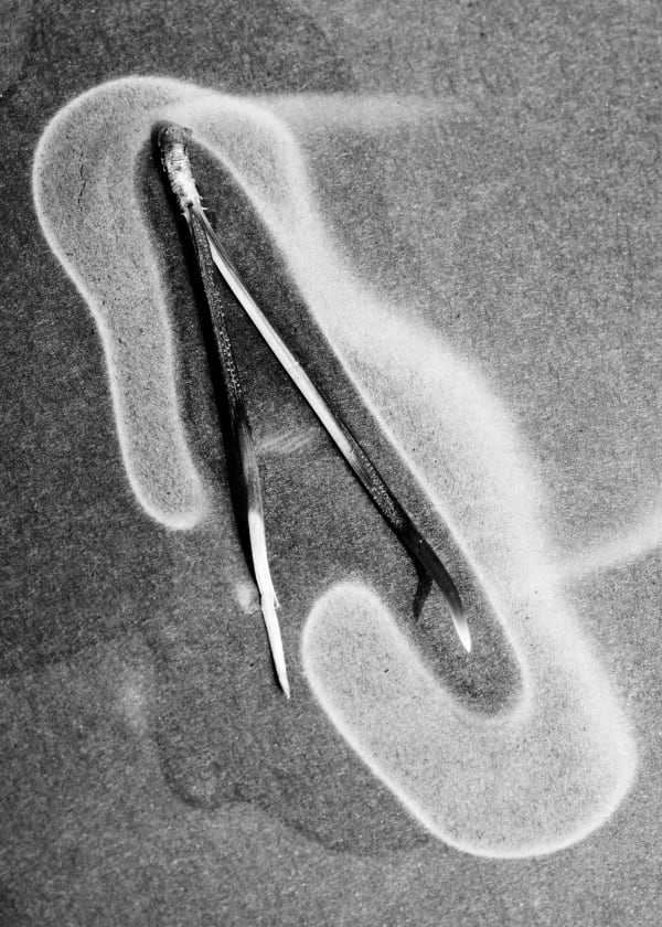 Txema Yeste, Needles, 2019-24.