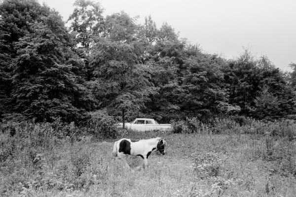 Clark Winter, Pasture, New Hampshire, 1971.