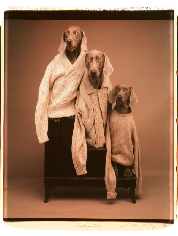 William Wegman, Sweatered Trio, 1990.