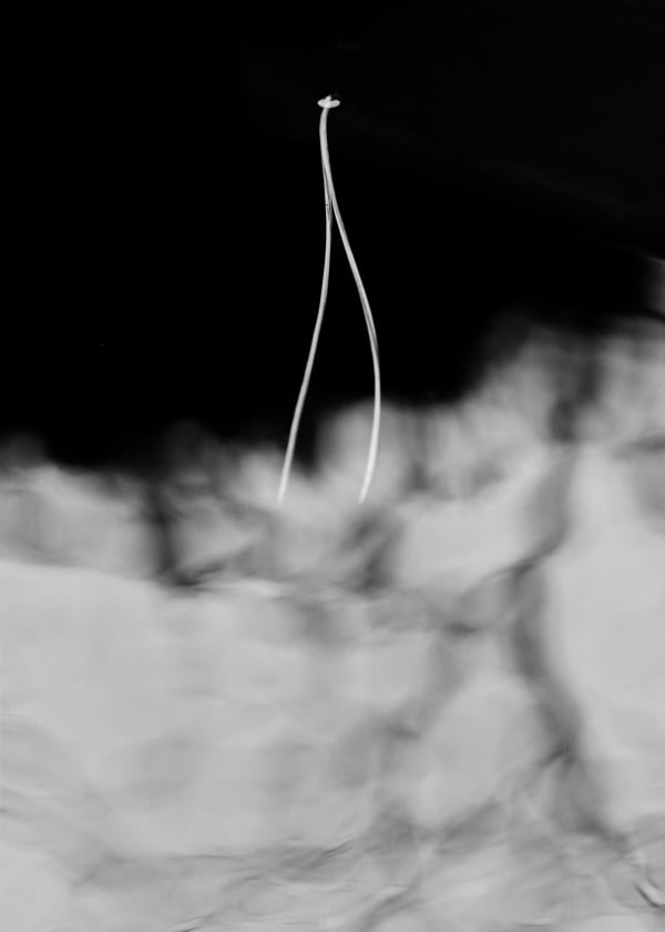 Txema Yeste, Needles, 2019-24.