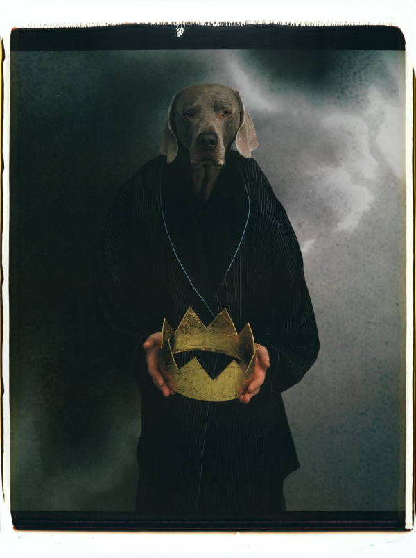 William Wegman, Macbeth, 2007.