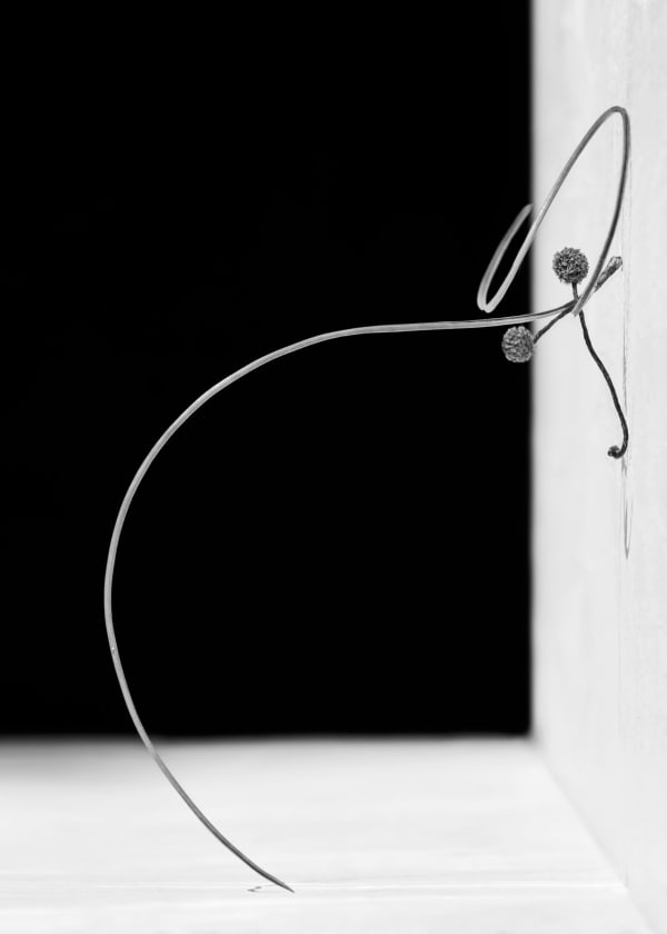 Txema Yeste, Needles, 2019-24.