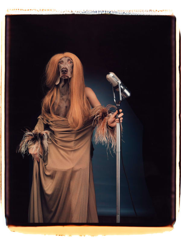 William Wegman, Entertainer, 1995.