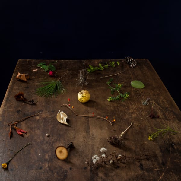 Cig Harvey, Fall Table, Rockport, Maine, 2013.