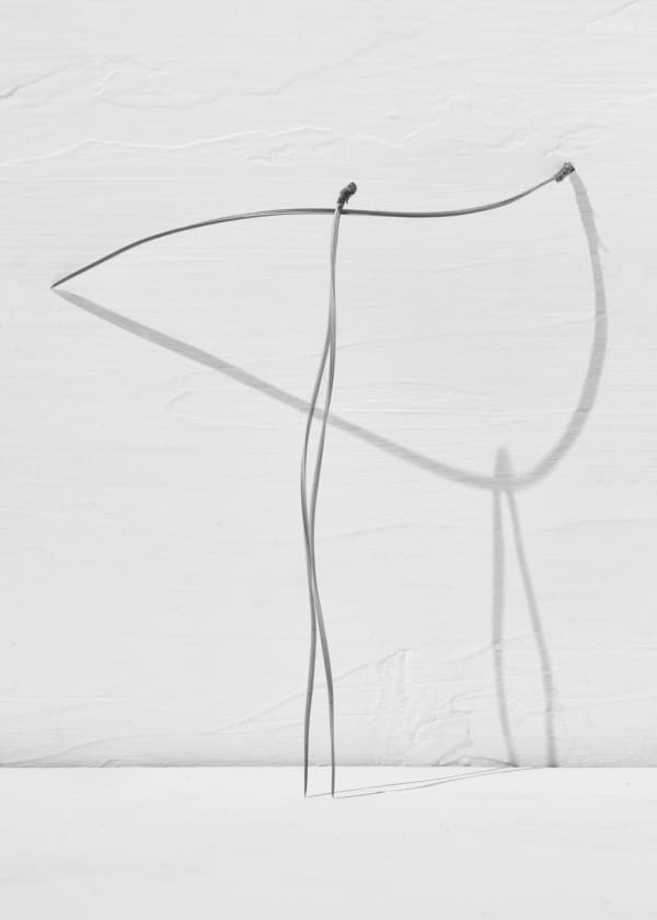 Txema Yeste, Needles, 2019-2024.