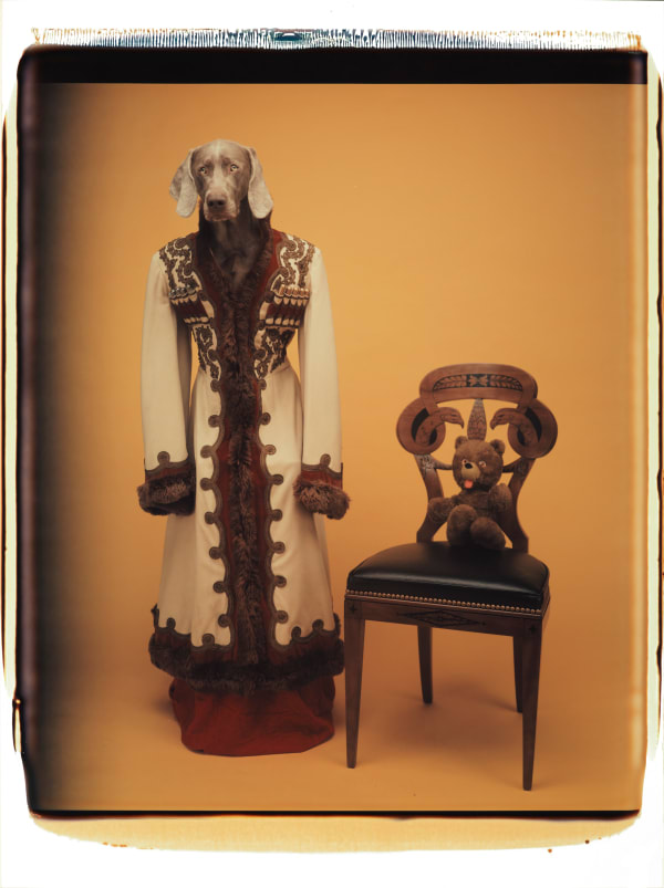 William Wegman, Untitled, 1992.