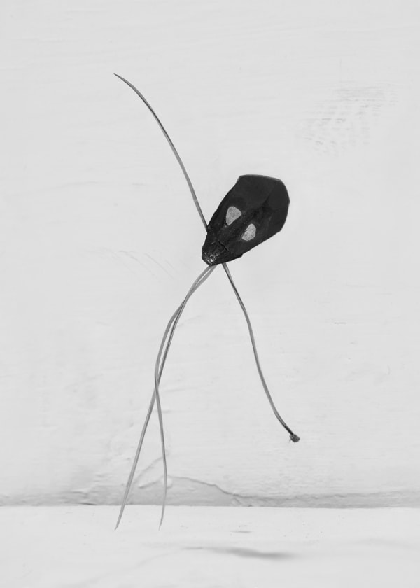 Txema Yeste, Needles, 2019-24.