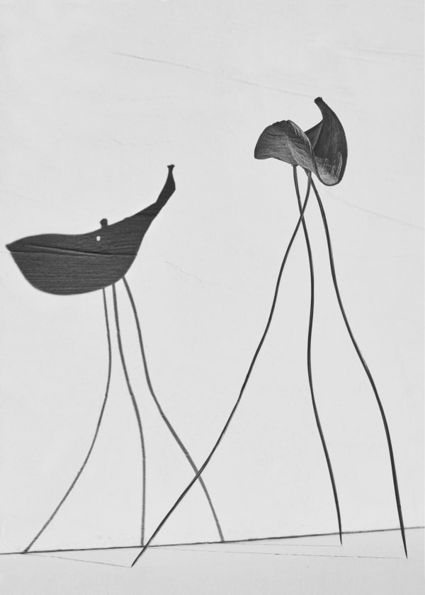 Txema Yeste, Needles, 2019-24.