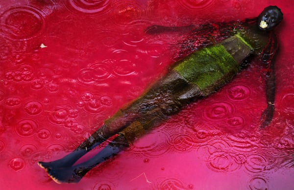 Txema Yeste, Circles, 2021.