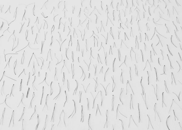 Txema Yeste, Needles, 2019-24.