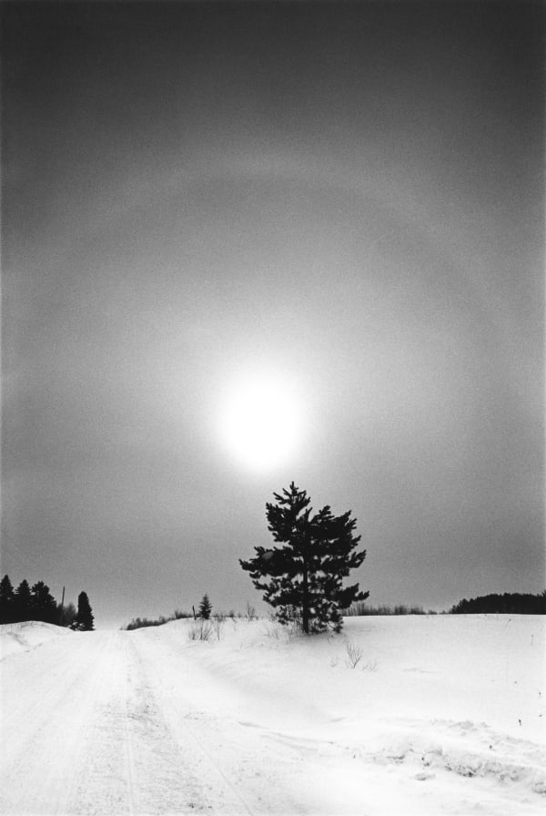 Jessica Lange, Minnesota, from the series, "Highway 61", 2011-18.