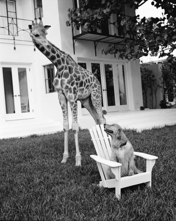 Bruce Weber, True and Tweet, Golden Beach, FL, 2003.