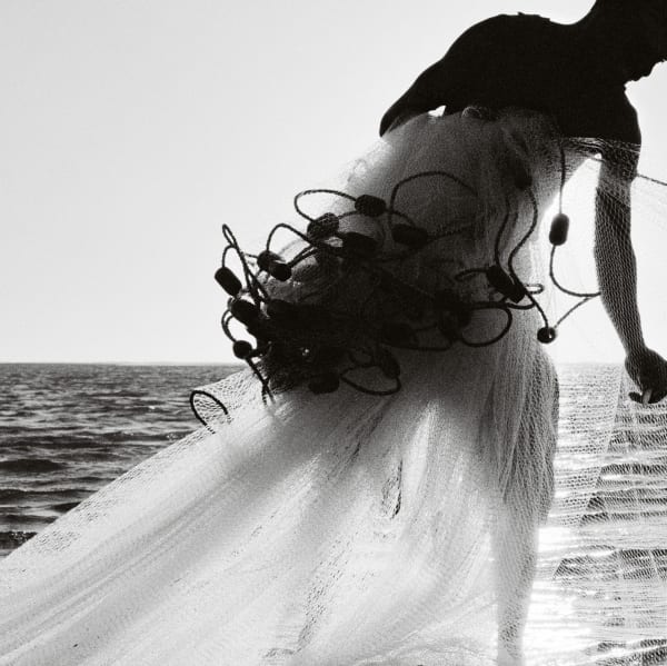 Pancho Saula, Wedding, 2017.