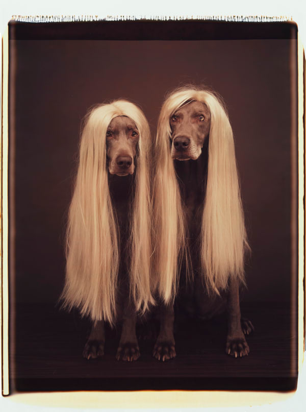 William Wegman, The Nelsons, 1994.