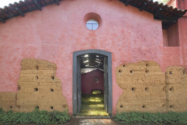 Laura Belém, Anekdota, 2015