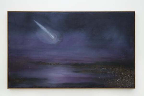 Thiago Rocha Pitta, O retorno do Bendegó, 2019